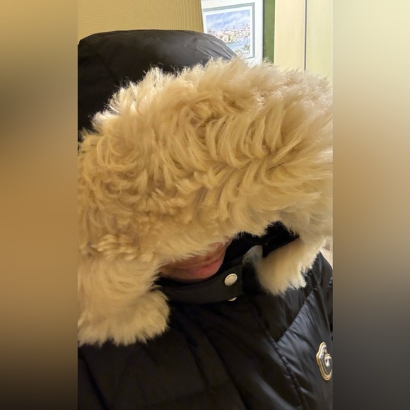 Brand New- Coach Black Puffer. Head nestles inside the fur hood for Cold Weather - Picture 3 of 6